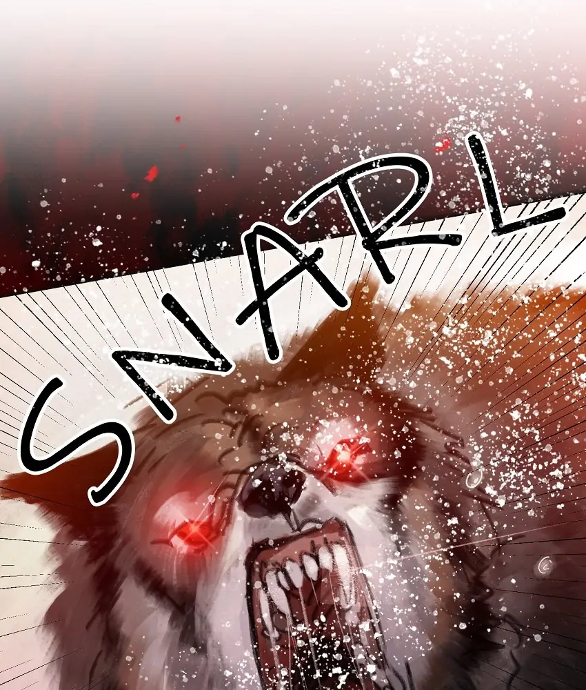 26642221 850 1000 117258